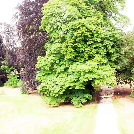 Chateau Morreau Bed & Breakfast Péruwelz
